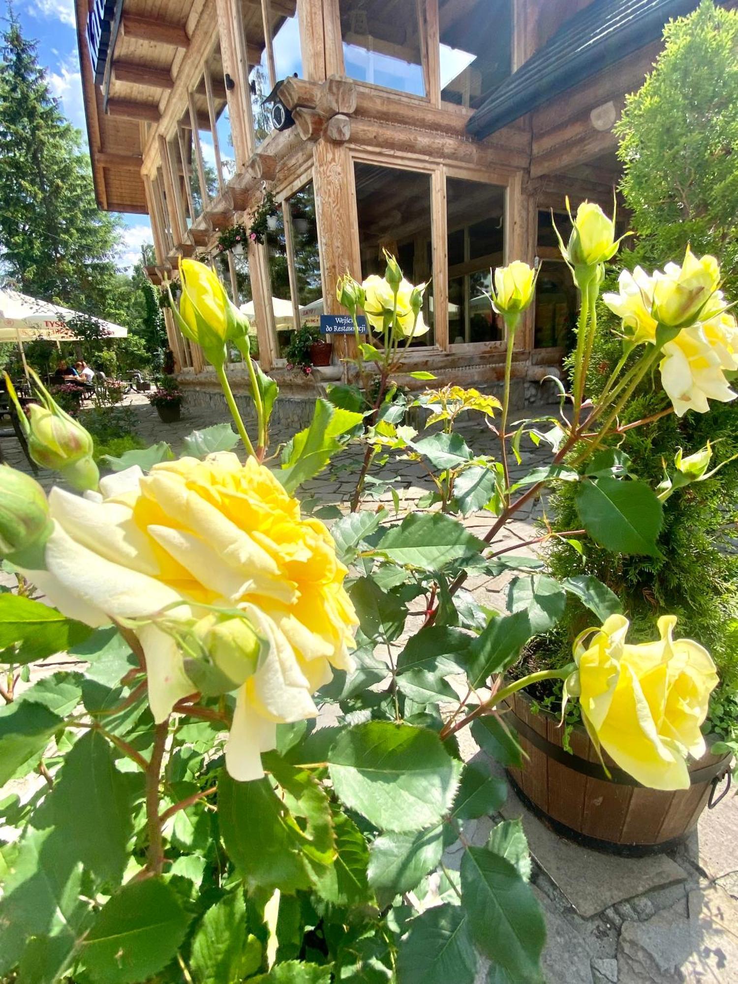 Zajazd Bialczanski Dom Wypoczynkowy Restauracja Bialka Tatrzanska Ngoại thất bức ảnh